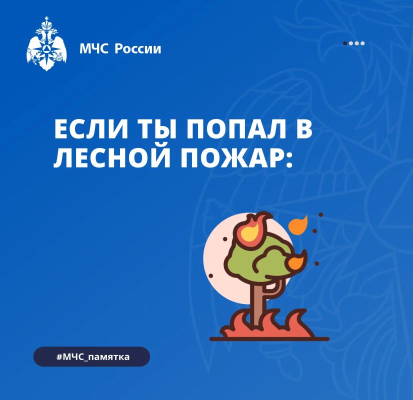 Если вы попали в лесной пожар: как действовать, чтобы спастись