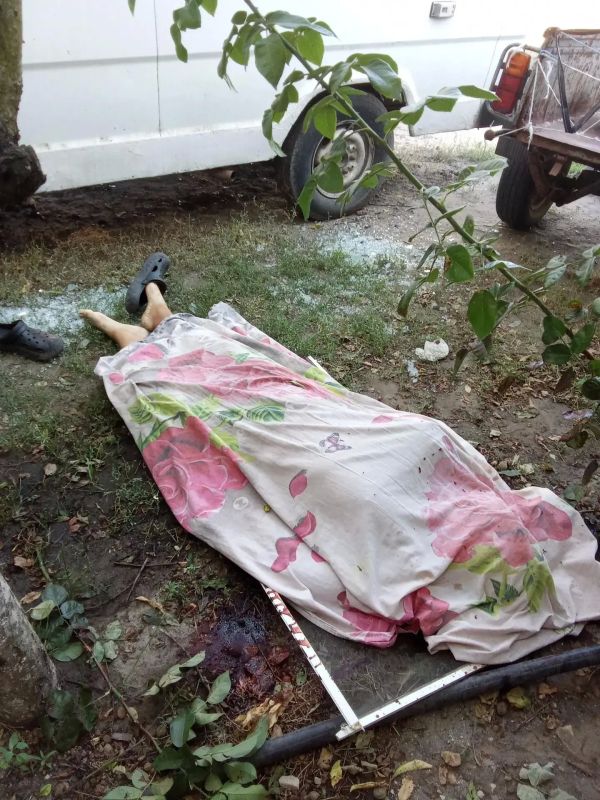 Владимир Сальдо: Оперативная обстановка в Херсонской области с начала недели Владимир Сальдо: Оперативная обстановка в Херсонской области с начала недели