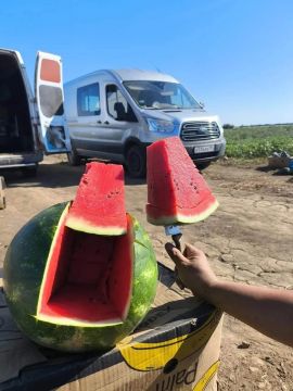 ��������, ������ � �����: ������������, � ��� ������ �������� ����������� ������