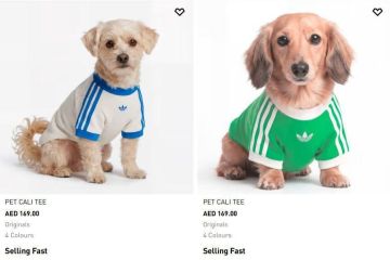 Adidas ��������� ��������� ������ � ����������� ��� ��������