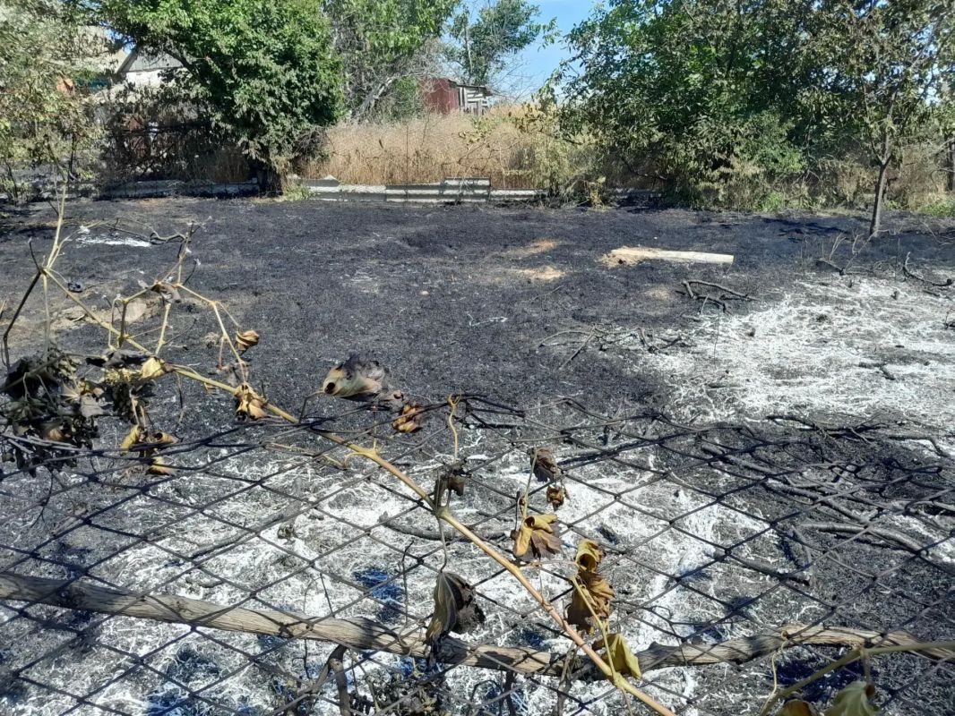В селе Васильевка местные жители ликвидировали возгорание сухой растительности на полях В селе Васильевка местные жители ликвидировали возгорание сухой растительности на полях