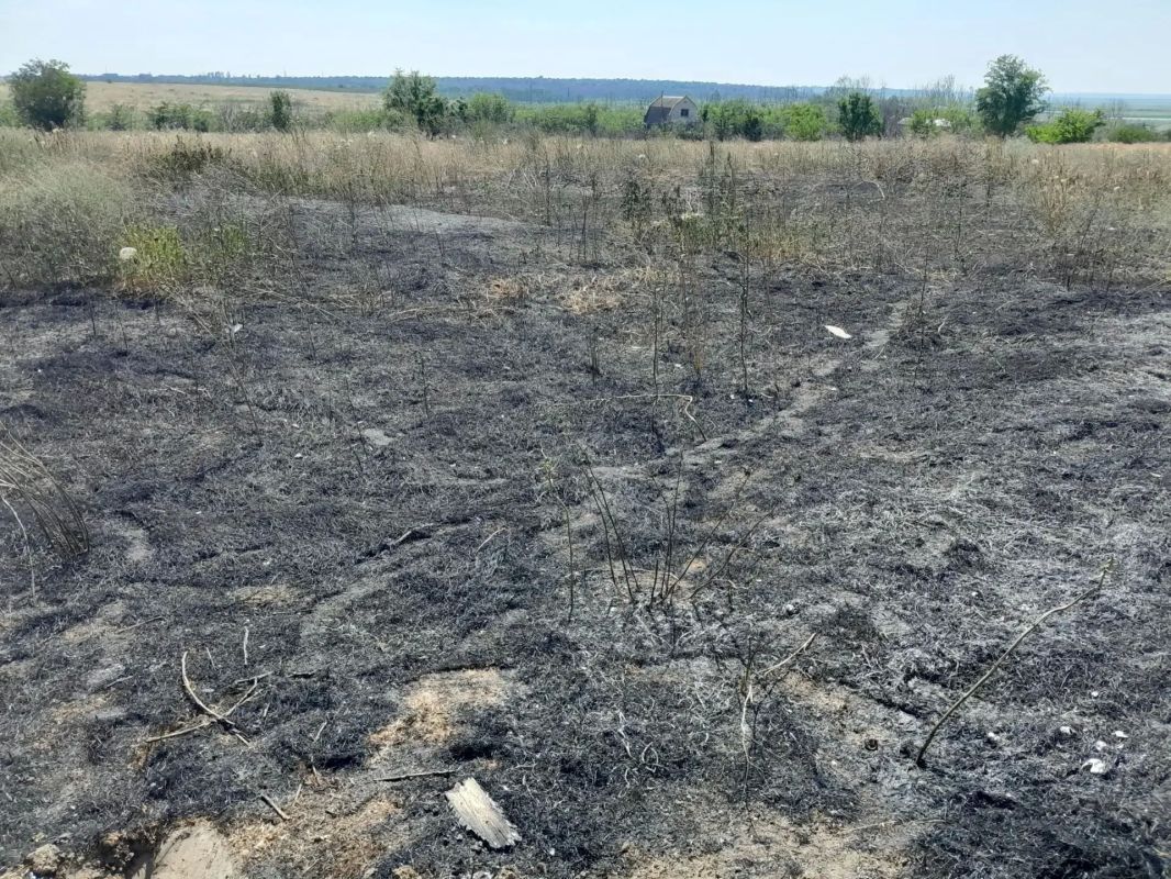 В селе Васильевка местные жители ликвидировали возгорание сухой растительности на полях