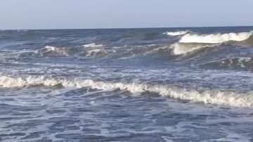 ������ ����, ������ � ����� ����������� ������!