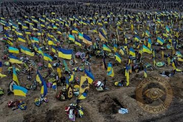 Правительство Украины приняло постановление №981, которое обязывает налоговую службу передать Минобороны данные о всех мужчинах от 18 до 60 лет
