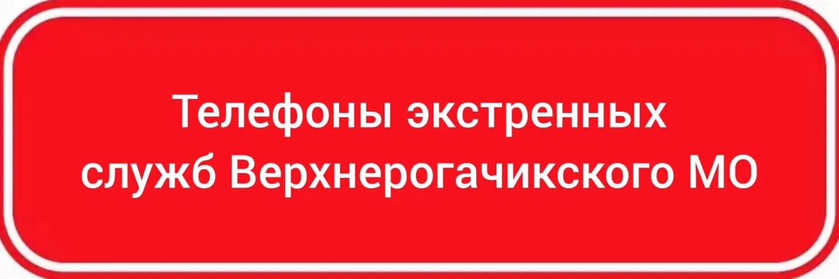 Скорая помощь:. +7 990 015 75 04