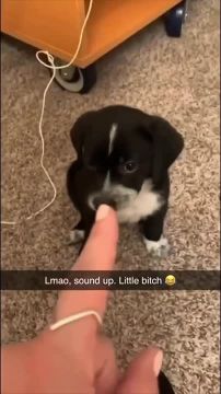 �������� ������ ��� � �����