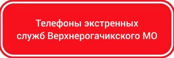 Скорая помощь:. +7 990 015 75 04