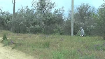 �������� ������: ���������� ��� ������������� ������ ���������� ���������