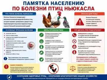 «СТОП ГРИПП»: меры по профилактике опасных заболеваний птиц