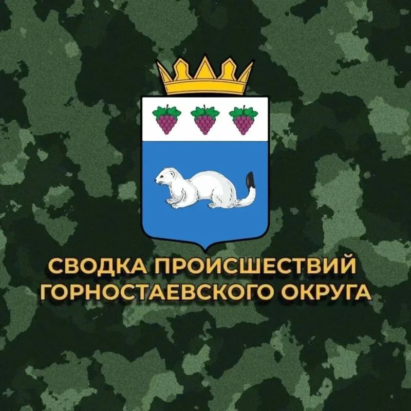 Происшествия Горностаевского муниципального округа