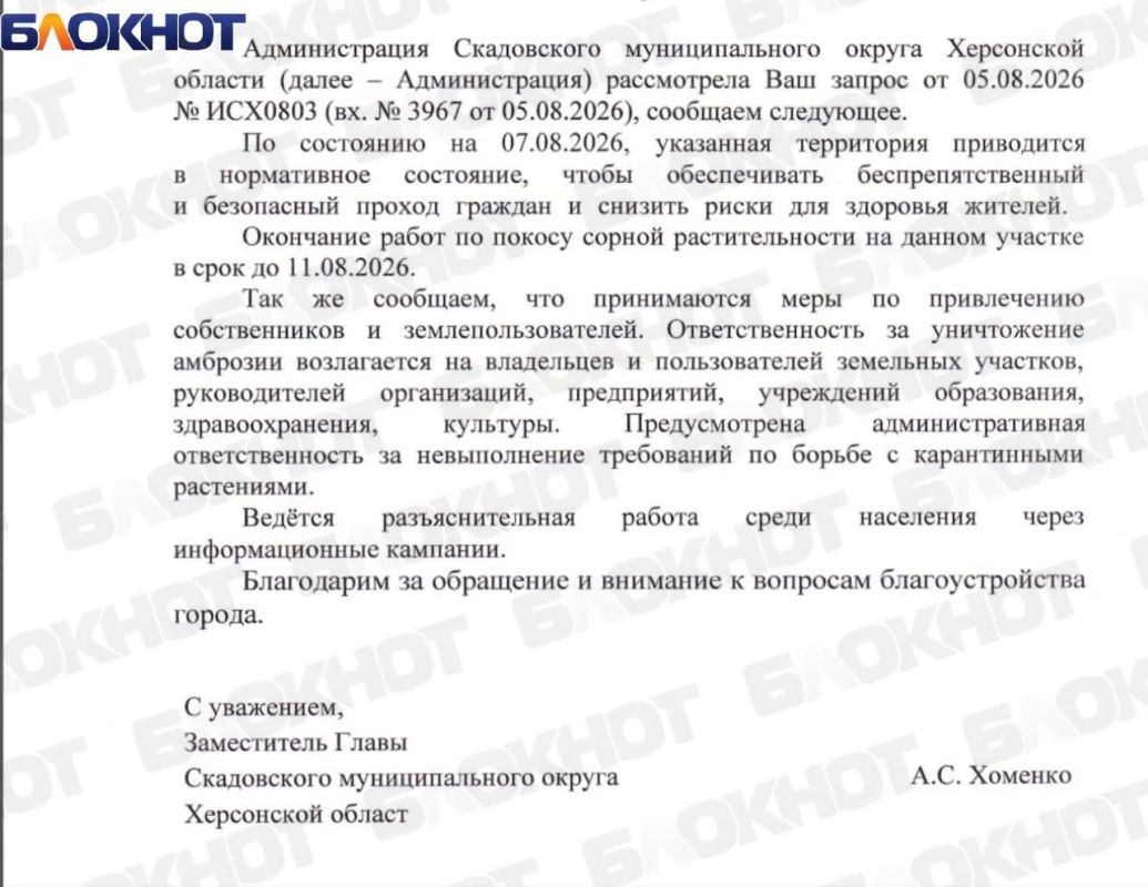 Сорняки и амброзию на улице Пасечника в Скадовске обещают убрать до завтра Сорняки и амброзию на улице Пасечника в Скадовске обещают убрать до завтра