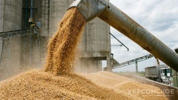 В Херсонской области создадут агрегатор сельхозпродукции для выхода на крупные рынки сбыта