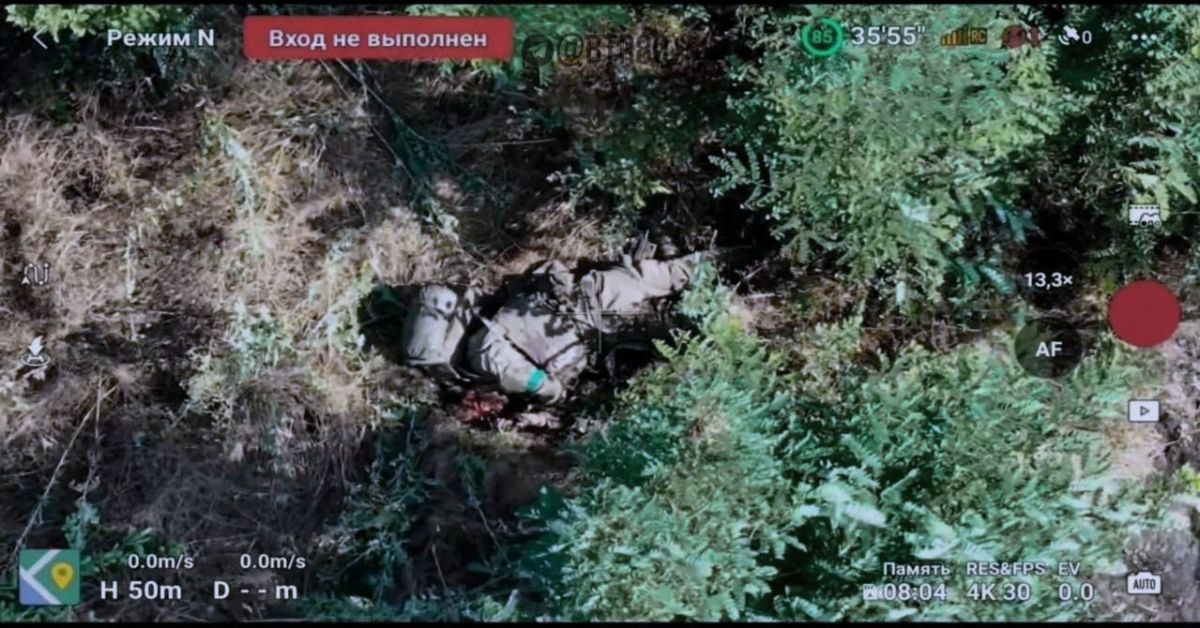 Прекращение трудового договора Прекращение трудового договора