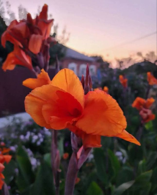 Доброе утро, Херсонщина!. Ты просто так пораньше встань Доброе утро, Херсонщина!. Ты просто так пораньше встань