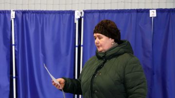 Иностранные наблюдатели на выборах в ГД могут посетить исторические регионы