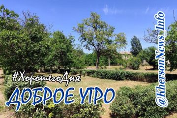 Доброе утро, друзья!. Наш день наполняется тем, чем мы сами его заполняем