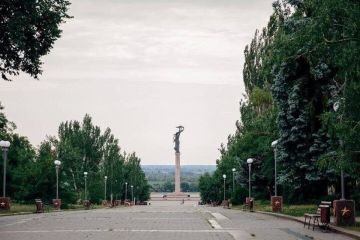 Бойцов ВСУ из "Птиц Мадьяра" уничтожили в Херсоне
