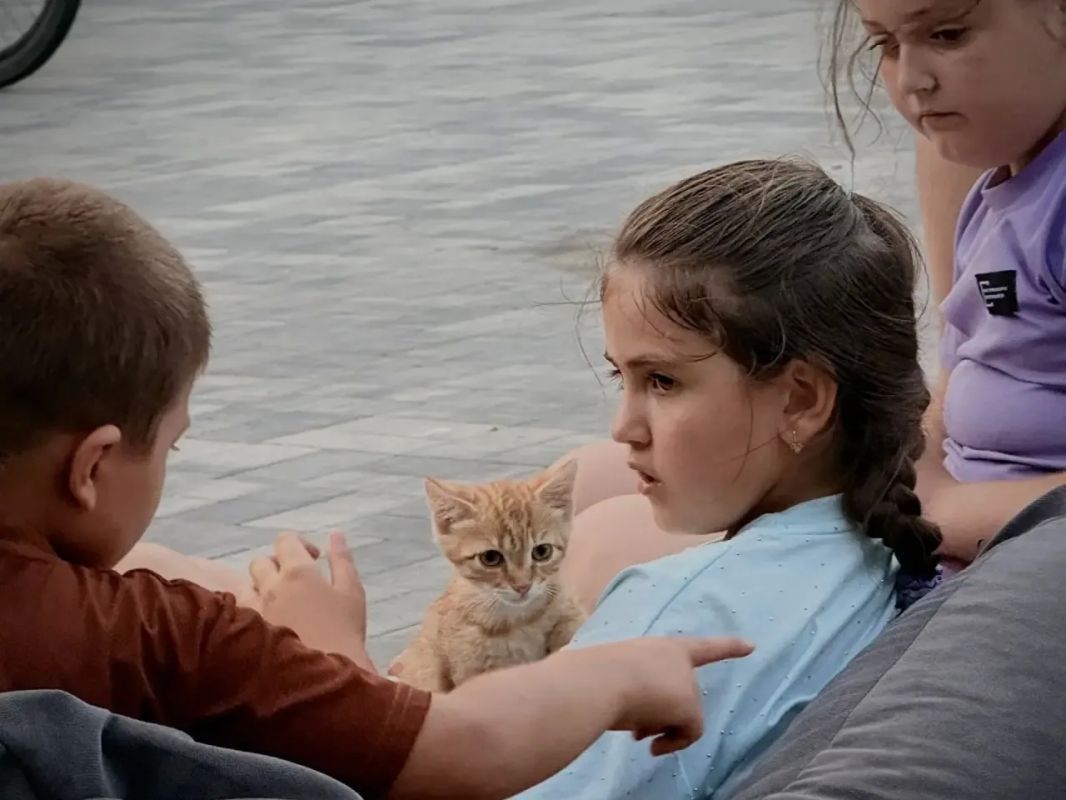 #Лето_С_Молодёжкой: Состоялся очередной кинопоказ под открытым небом #Лето_С_Молодёжкой: Состоялся очередной кинопоказ под открытым небом