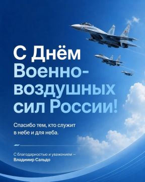 Владимир Сальдо поздравил военнослужащих и ветеранов ВВС с Днем Военно-воздушных сил России