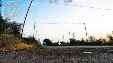 ��������� ����������� ������������� ��������������� � ������� �������