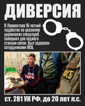 Два поджога, один итог: задержание и уголовное дело