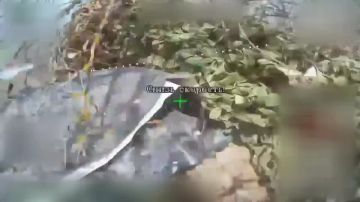 ������� FPV-������, ����������� �� �������������� ������� � ������� ���� ����������� ���� �������-2� 42-� ����������� �������������� ������� 58-� ������������� ����� �� ������� ����������� ����� ������ ������� �������������...