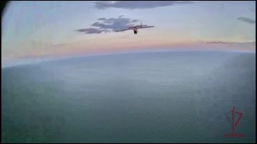 Операторы БПЛА Росгвардии поразили беспилотник ВСУ в небе над Азовским морем