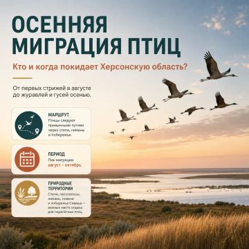 Птицы Херсонщины готовятся к осеннему перелёту