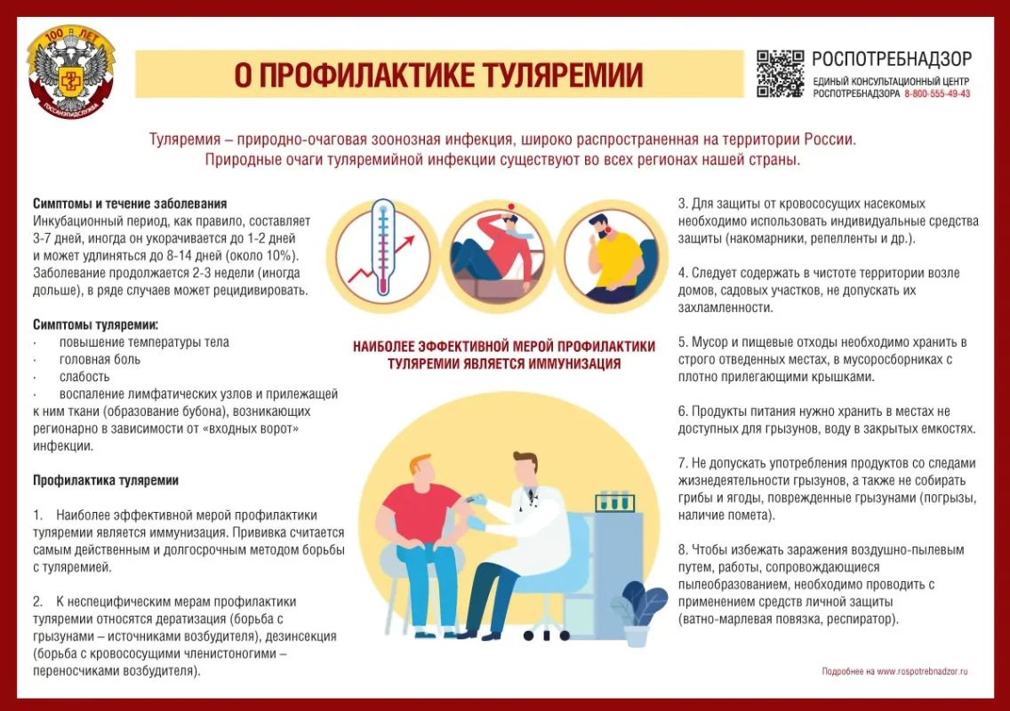 Туляремия: чем опасна и как защитить себя
