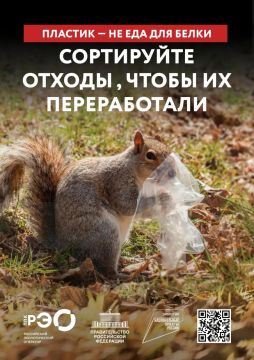 Пластик не еда для белки. Пластиковый пакет, оставленный в парке или лесу, быстро превращается из обычного мусора в угрозу для животных