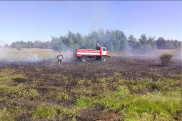 В Херсонской области потушили 16 пожаров 12 августа