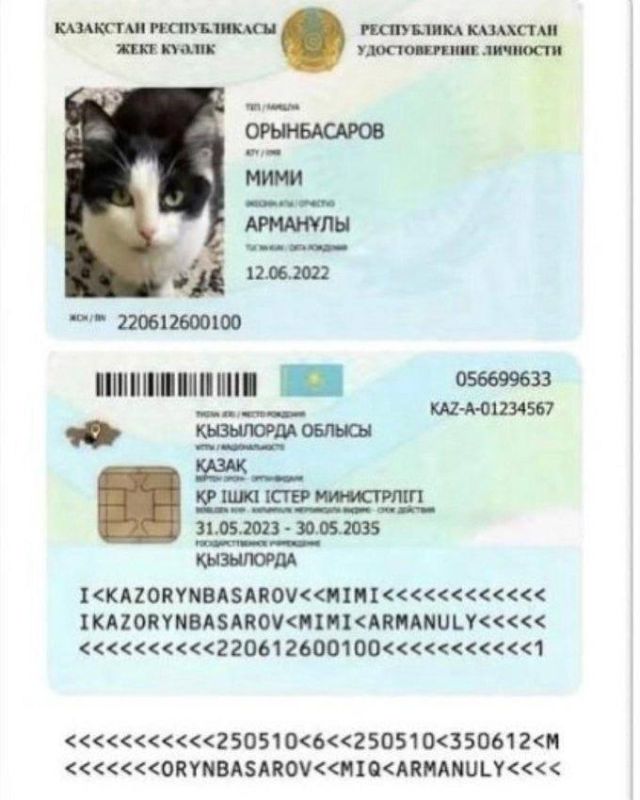 Котам в Казахстане начали выдавать паспорта Котам в Казахстане начали выдавать паспорта