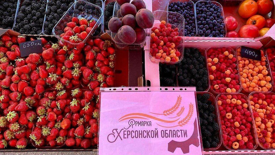 Аграриям в Херсонской области предоставили бесплатные торговые места