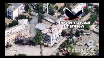 Владислав Шурыгин: Херсон. Птички атакуют боевиков ВСУ