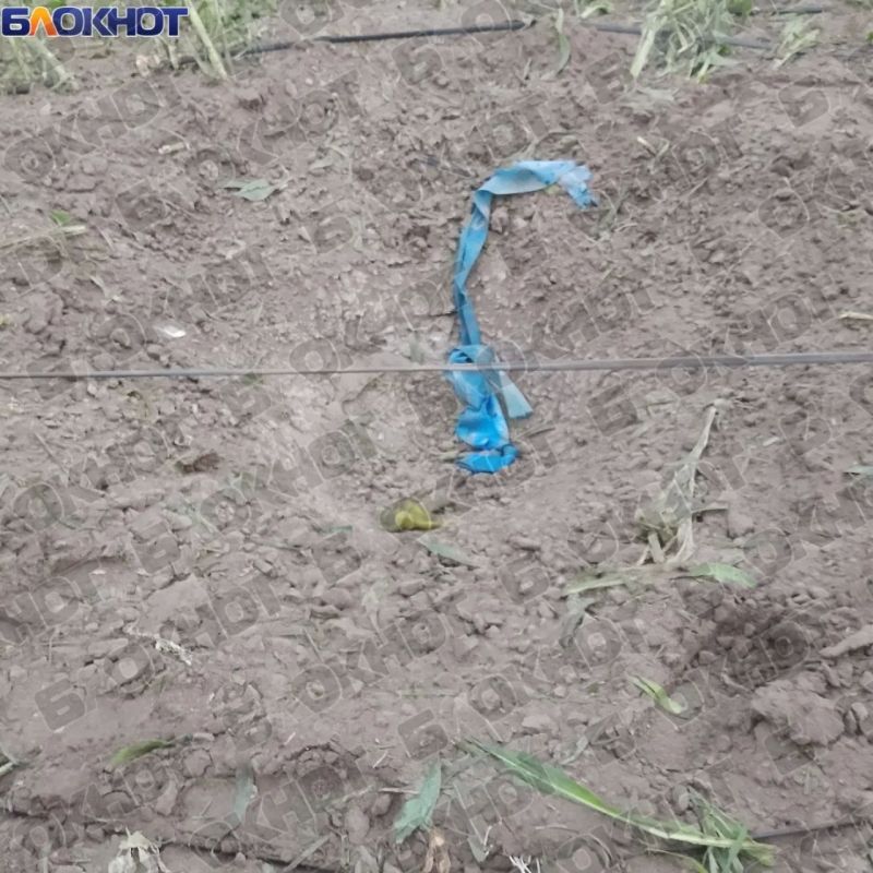 После удара ВСУ в Алешкинском округе разрушен дом После удара ВСУ в Алешкинском округе разрушен дом