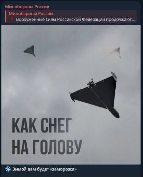 Новые удары по тылам ВФУ. Вооруженные силы России продолжают наносить ответные удары на развязанную Зеленским инфраструктурную войну