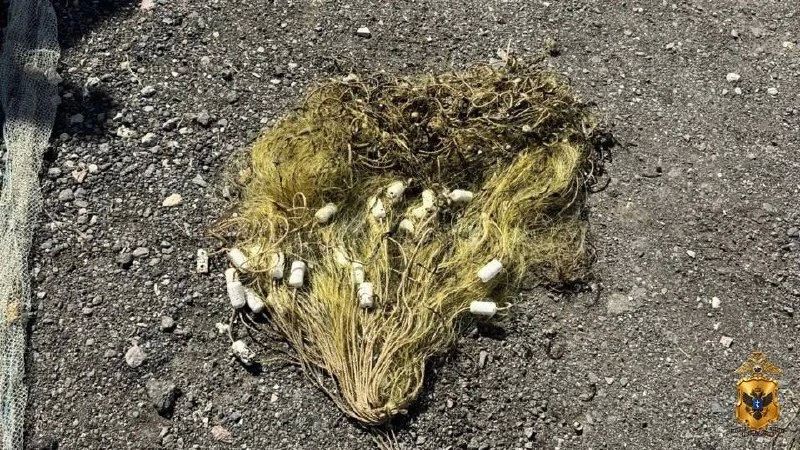 Браконьерам, выловившим более 12 тысяч особей рыбы и креветки, грозит до пяти лет лишения свободы Браконьерам, выловившим более 12 тысяч особей рыбы и креветки, грозит до пяти лет лишения свободы