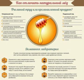Настоящий же мёд — это натуральный антибиотик, иммунная поддержка, лекарство и вкуснятина