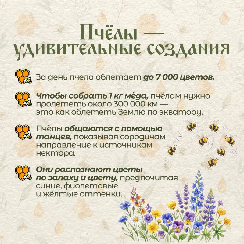 Сегодня Медовый Спас. Первый из трех Спасов Сегодня Медовый Спас. Первый из трех Спасов