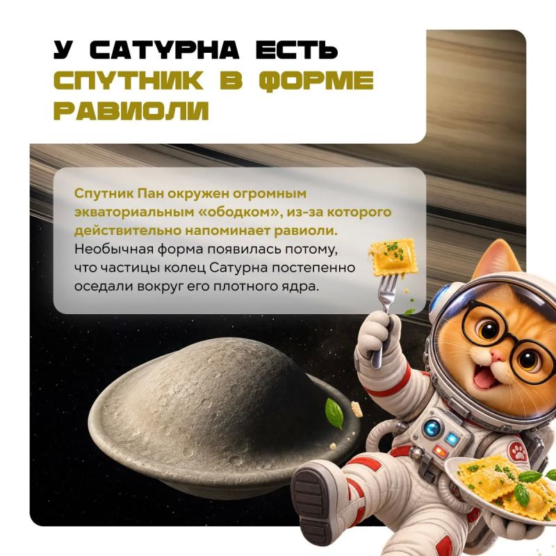Акулы появились раньше деревьев, следы на Луне могут сохраняться миллионы лет, а у Сатурна есть спутник в форме равиоли Акулы появились раньше деревьев, следы на Луне могут сохраняться миллионы лет, а у Сатурна есть спутник в форме равиоли