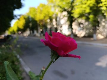 Доброе утро!. Отличная суббота нас ждет сегодня