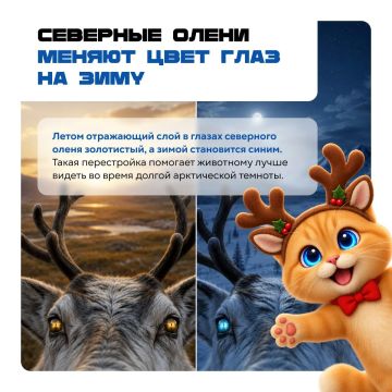 Акулы появились раньше деревьев, следы на Луне могут сохраняться миллионы лет, а у Сатурна есть спутник в форме равиоли