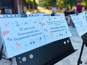 Доброта в действии: в Геническе прошла акция в поддержку бездомных животных