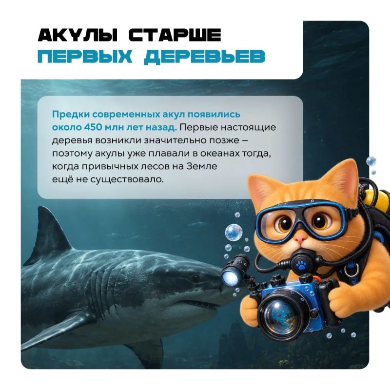 Акулы появились раньше деревьев, следы на Луне могут сохраняться миллионы лет, а у Сатурна есть спутник в форме равиоли Акулы появились раньше деревьев, следы на Луне могут сохраняться миллионы лет, а у Сатурна есть спутник в форме равиоли