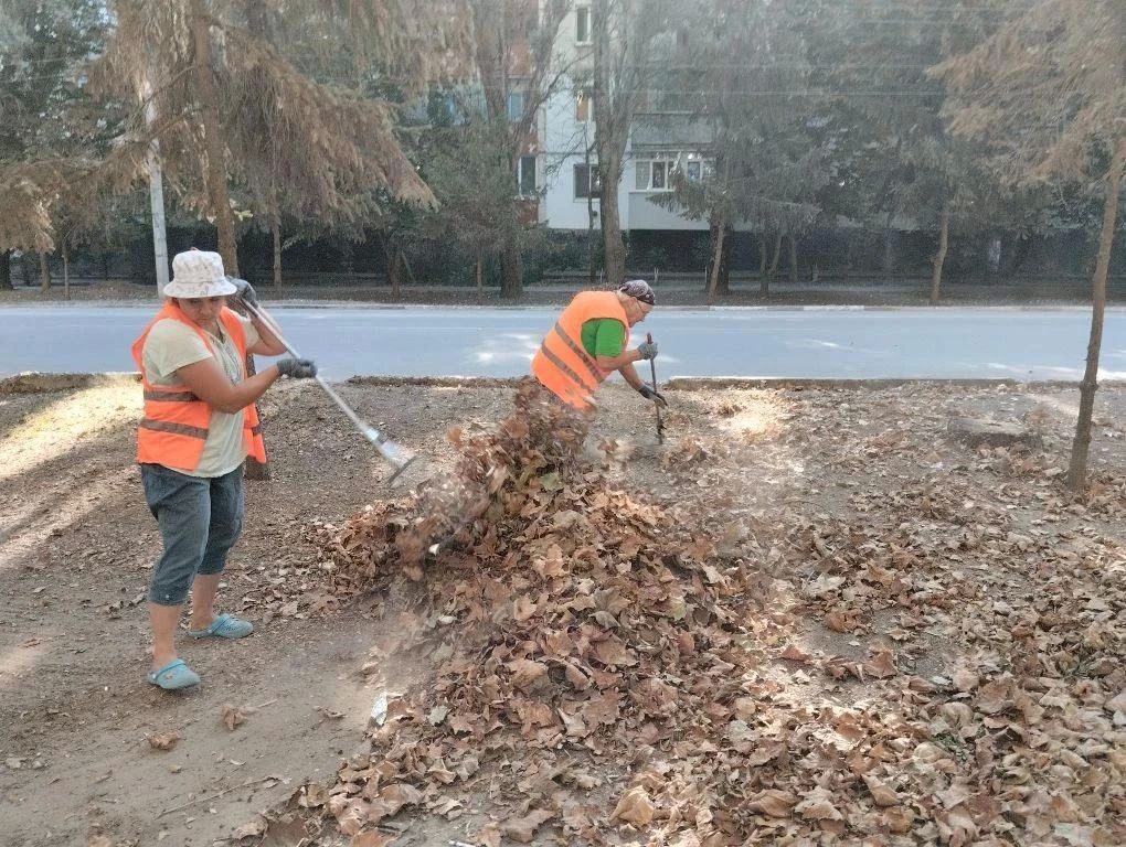 Плановые работы по благоустройству Скадовска Плановые работы по благоустройству Скадовска