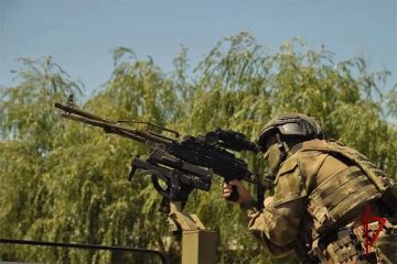 Подразделения Росгвардии в Херсонской и Запорожской областях за месяц уничтожили более 1000 беспилотников ВСУ
