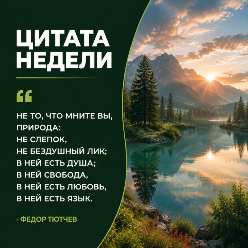 Рубрика «Цитата недели». Природа не бывает безмолвной или безжизненной — у неё есть свой ритм, настроение и язык