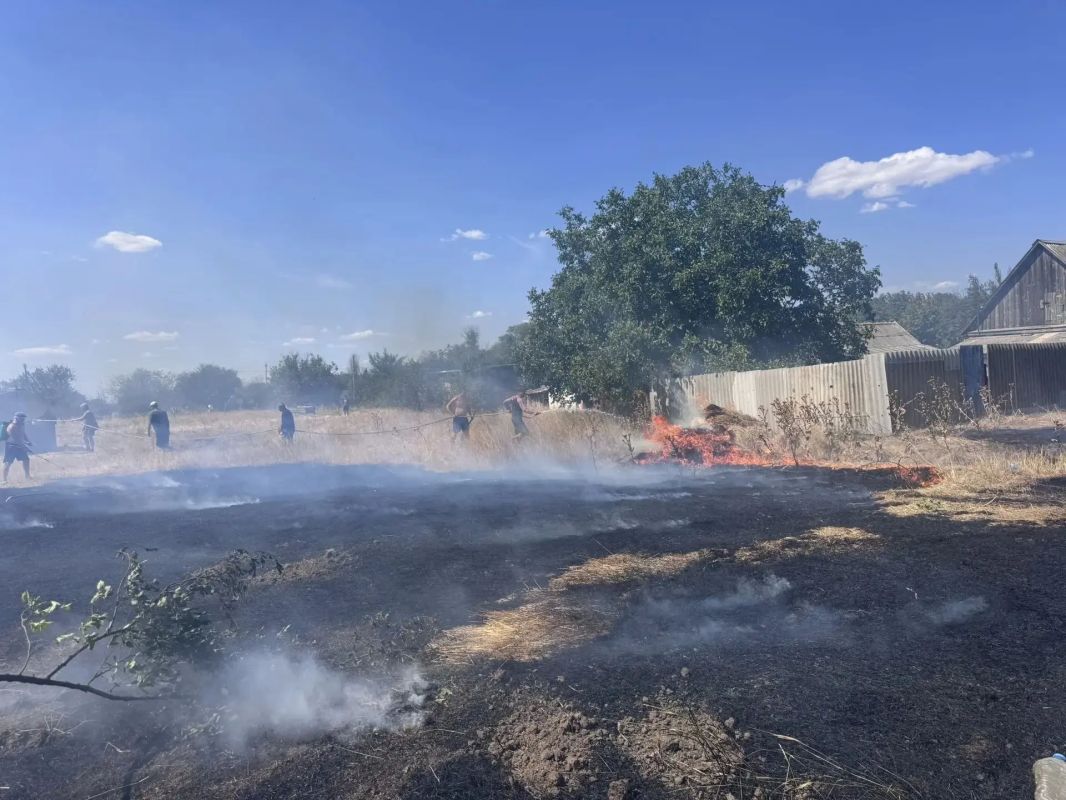 Полчаса — и огонь остановили: жители Дмитровки сами спасли село от пожара