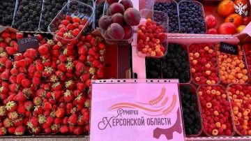 Сельхозпроизводителям Херсонской области предоставляют бесплатные торговые места на ярмарках