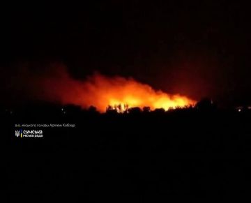 17 ������� 2026 ����.. � 00:25 ������ - ������. ������